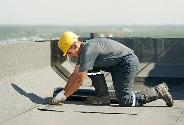 Best Insulation for Specific Applications in Cold Springs, NV