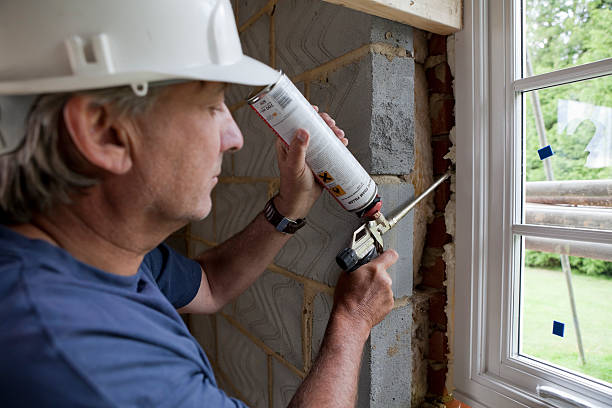 Best Insulation Maintenance and Repair in Cold Springs, NV