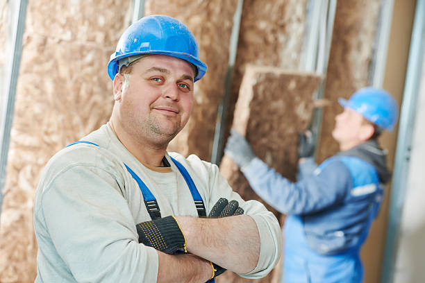 Best Residential Insulation in Cold Springs, NV